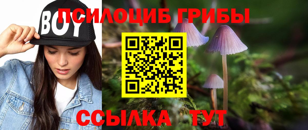Верхняя Пышма  Галлюциногенные грибы Cubensis  Вход с VPN 